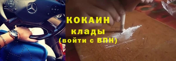 бошки Ладушкин