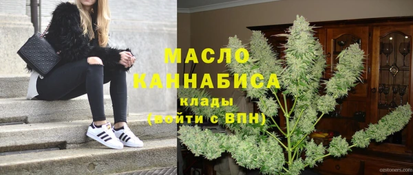 индика Лагань