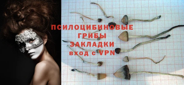 спайс Майский