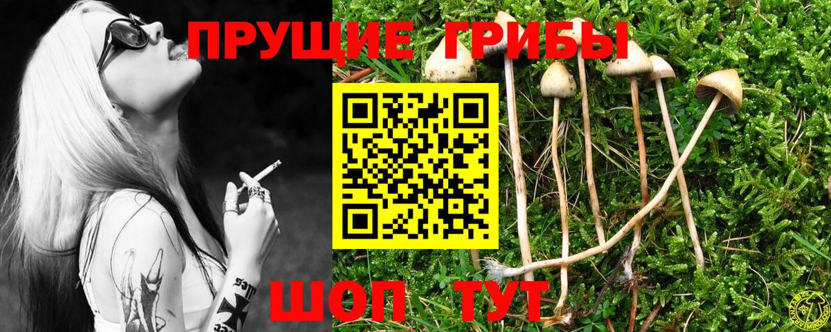 Галлюциногенные грибы Psilocybine cubensis Мелеуз