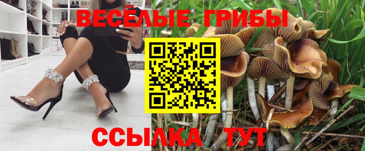 Псилоцибиновые грибы GOLDEN TEACHER Мелеуз