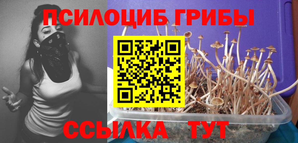 Галлюциногенные грибы мухоморы  Мелеуз  Псилоцибиновые грибы Psilocybe 